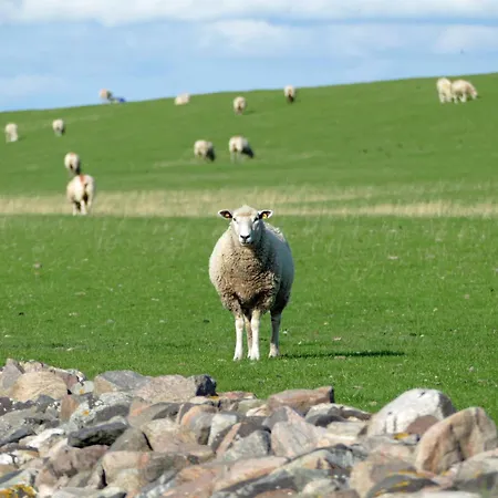 Op De Westerdiek 1 Apartmán *